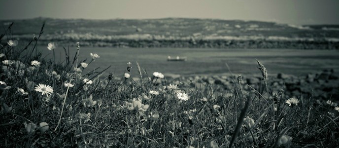 Views from Omey Island, Ireland (thumbnail) I @SatuVW I Destination Unknown