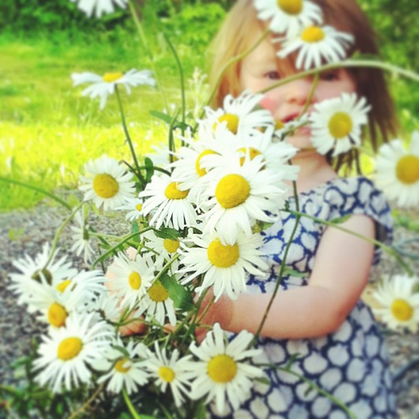 Family life in Norway via Instagram I @SatuVW I To Destination Unknown