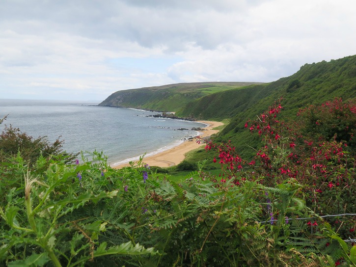 Kinnagoe Bay along Wild Atlantic Way I @SatuVW I Destination Unknown