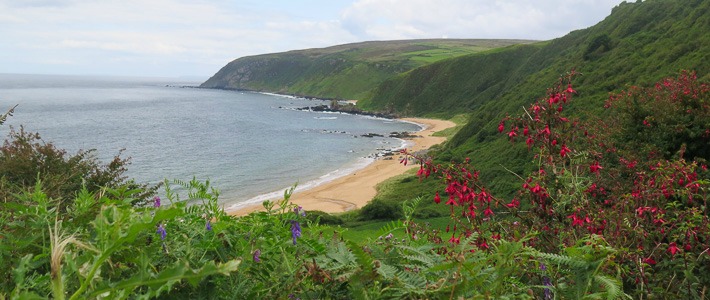 Kinnagoe Bay along Wild Atlantic Way I @SatuVW I Destination Unknown