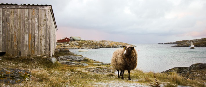 Givær Island near Bodø, Northern Norway I @SatuVW I Destination Unknown