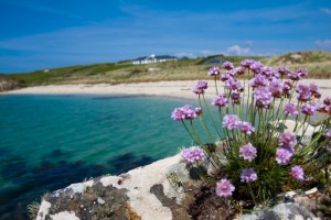 Acton's Eco Camping in Clifden I @SatuVW I Destination Unknown